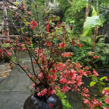 Wuyuan Qiye Yanxiang Guesthouse Exterior photo